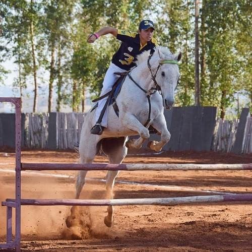 horseshow-500